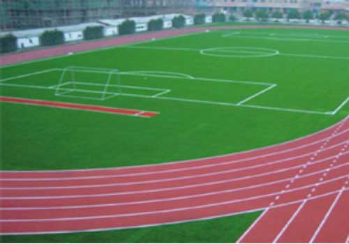 深圳市南海岸生态公司塑胶跑道及球场建设500X350.jpg